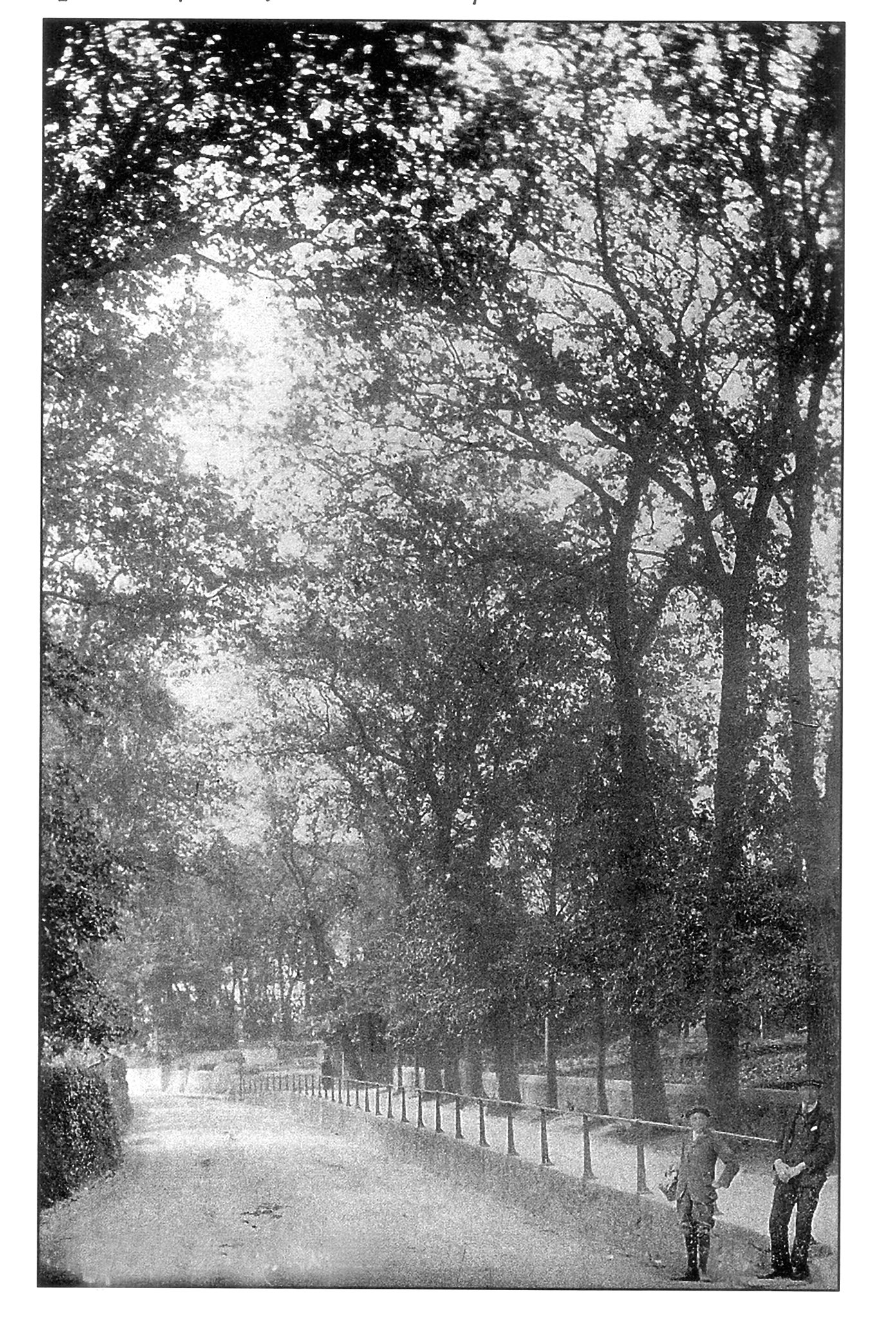 Foundry Hill, Hayle