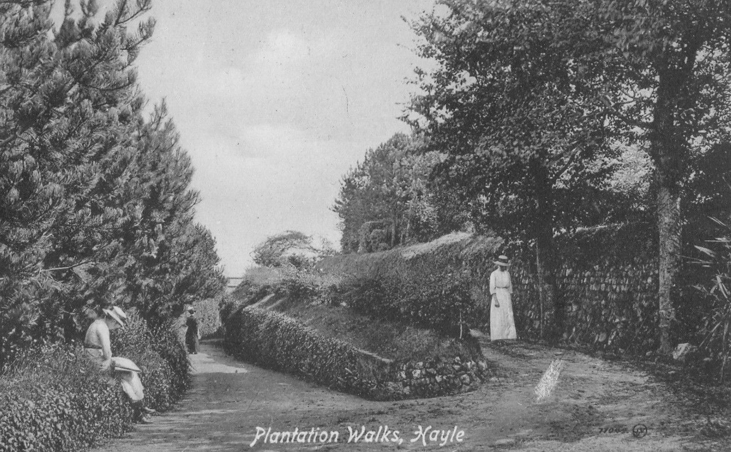 Hayle Plantation Walks