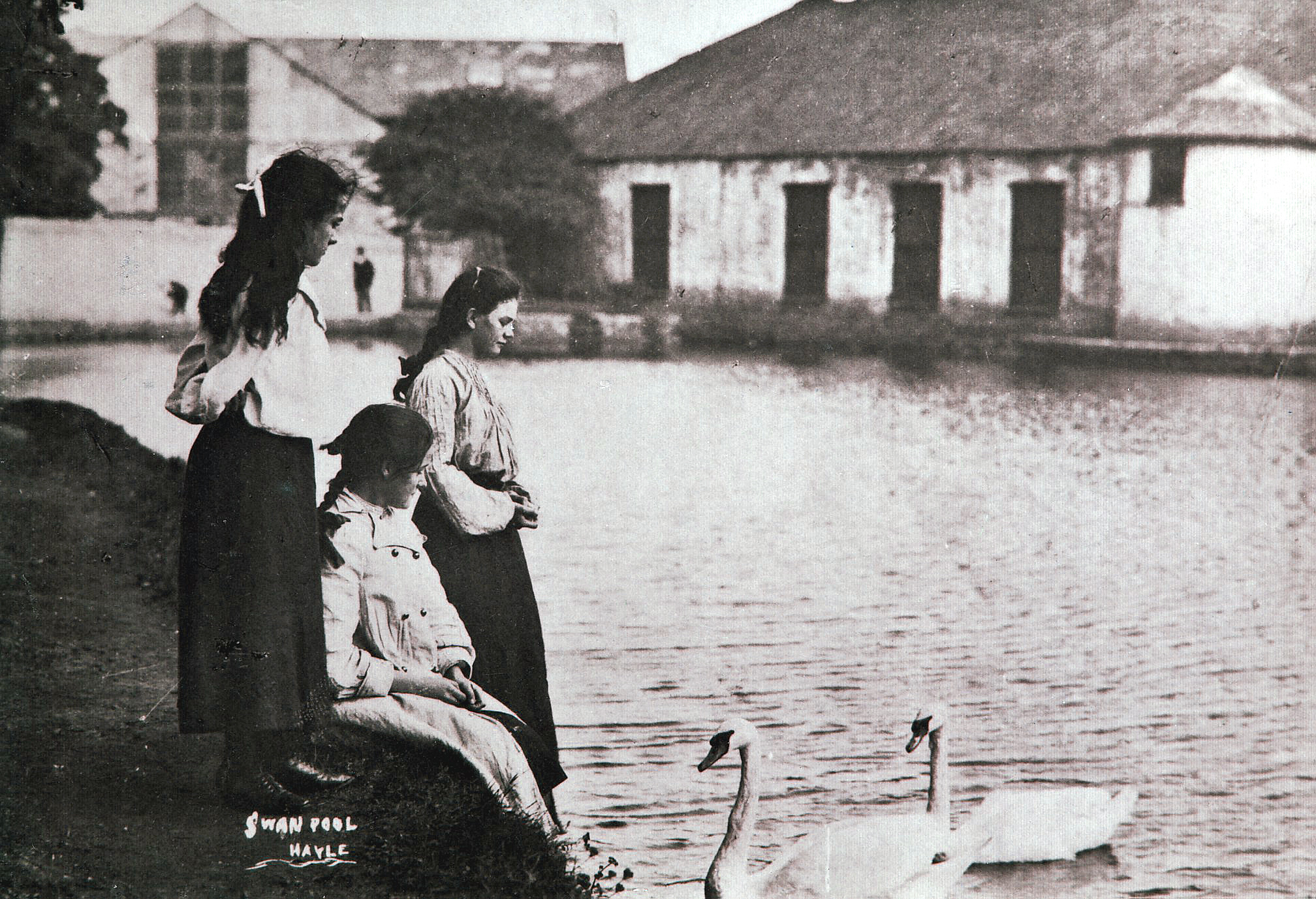 Swan Pool Millpond Hayle