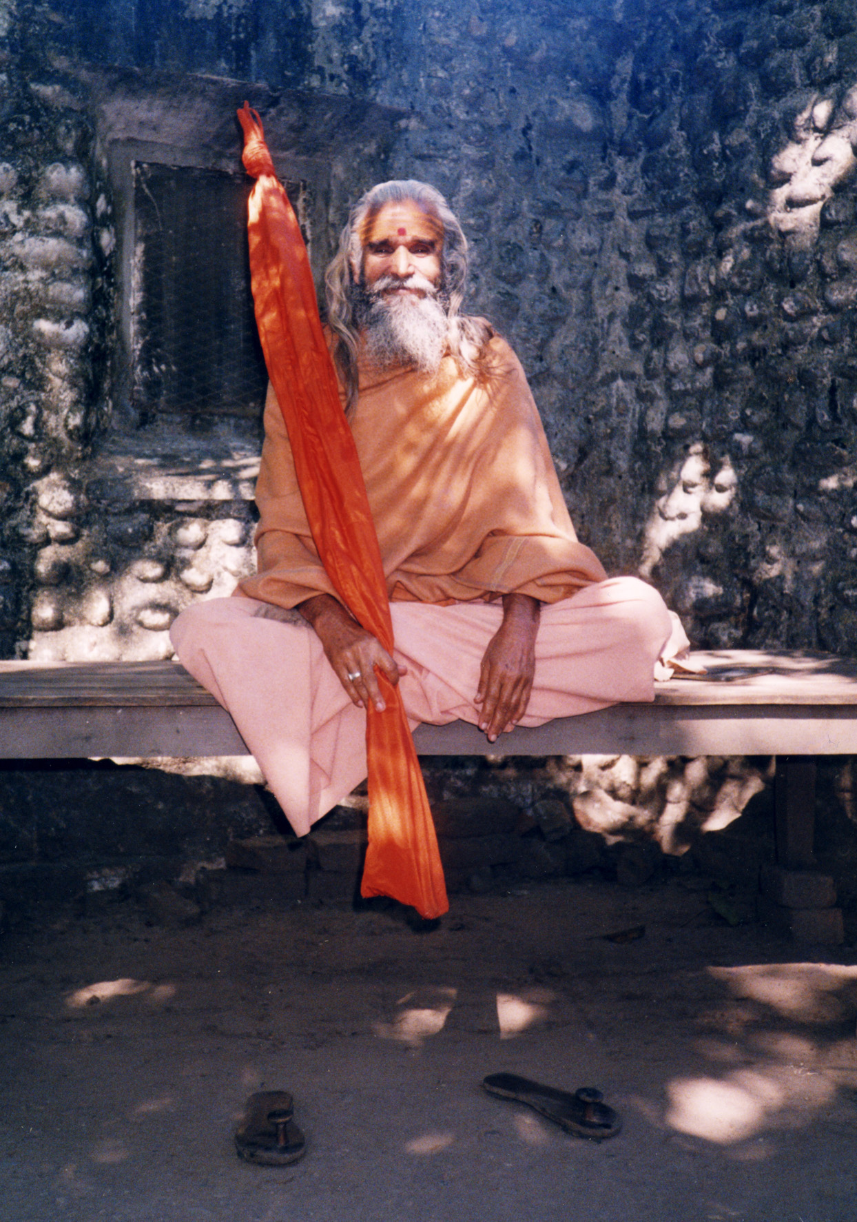 'Dandi Swami' front cover