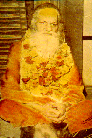 Guru Dev - Shankaracharya Swami Brahmananda Saraswati